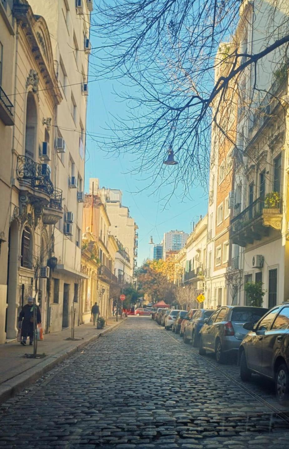 Apartamento Amplio Y Calido Departamento En El Corazon De San Telmo Ciudad Autónoma de Buenos Aires